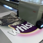 Whiskas print